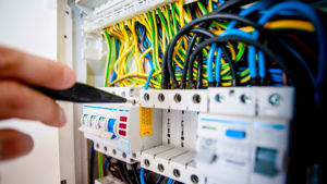 responsable projet électricité Yane Vert
