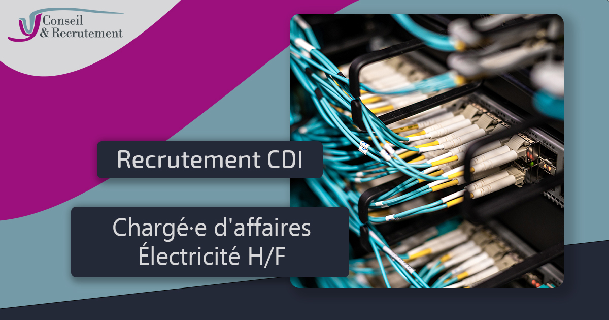 Chargé d'affaires électricité H/F sur Rouen et Évreux - Yane Vert